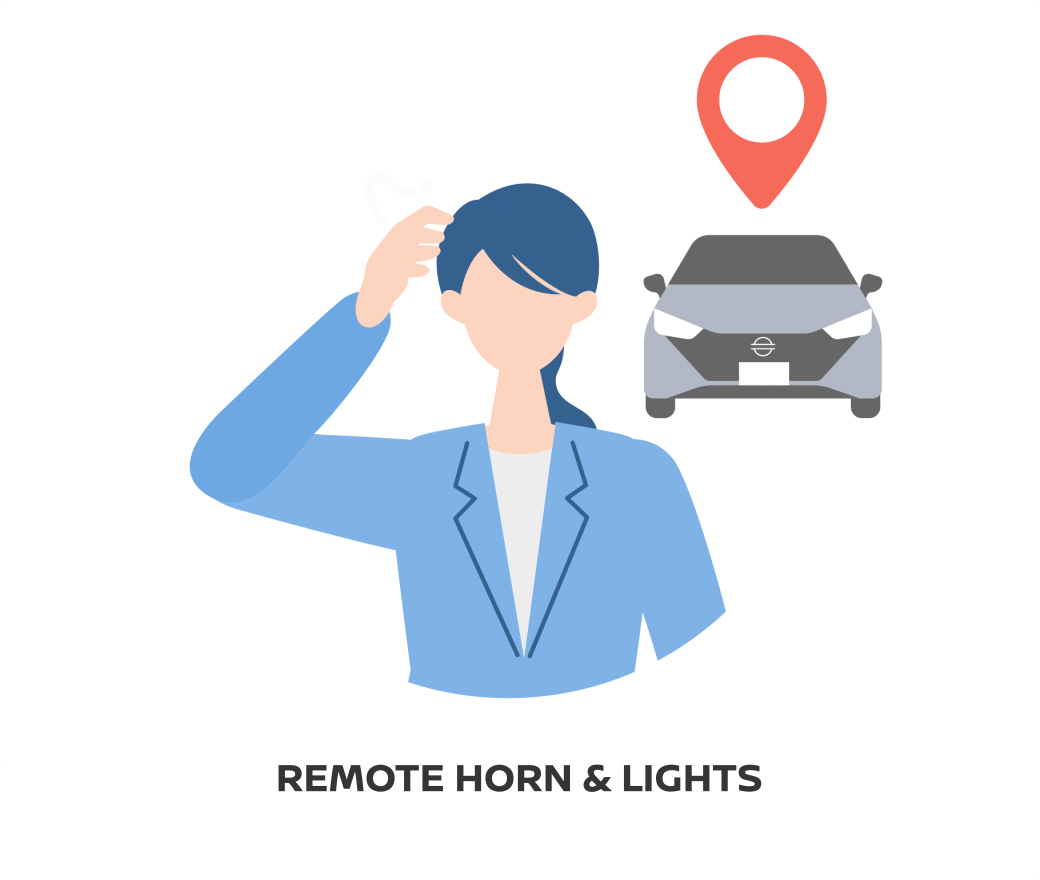 Remote Horn & Light